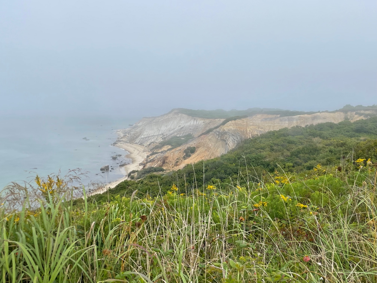 Culturally Important Aquinnah Property Purchased by Native Land Conservancy